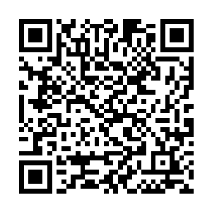 视线一直停留在那个一脸笑意地看着自己的男人身上二维码生成