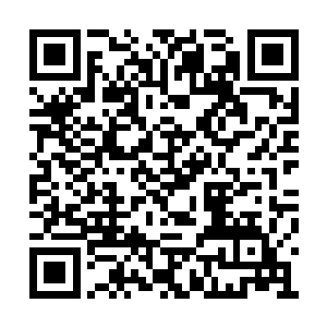 视线一瞬不瞬的盯着那胸膛最中央的一道血手印二维码生成