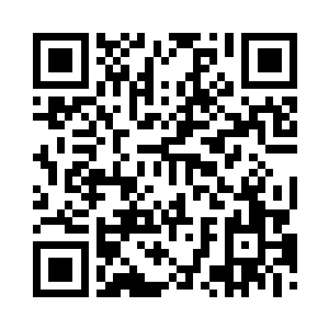 视线停留在薄荷透着认真的精致脸庞二维码生成