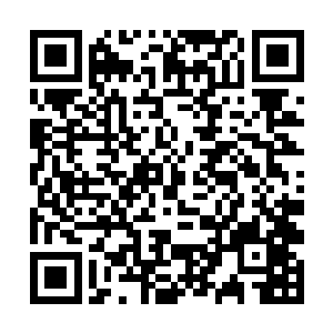 视线在先前沉浸在幻象中受伤的几人身上停留了一会二维码生成