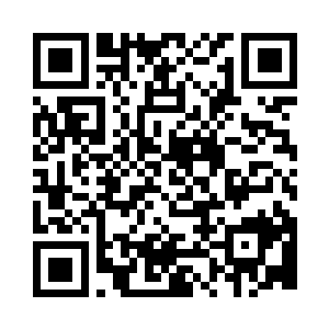 视线定格在那一抹被浸在血红中的紫上二维码生成