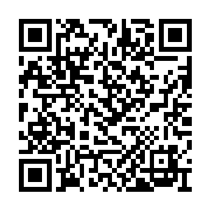 视线接触到的每一个人都迎上来向他表示了祝贺二维码生成