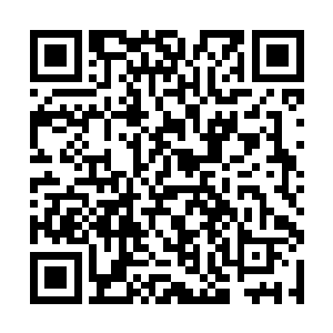 视线直直地看着一脸惊魂未定地挡在自己车前的苏瑷二维码生成