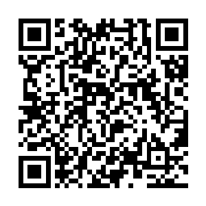 视线若有似无的扫过始终宠辱不惊谦和有礼的沐云笙二维码生成