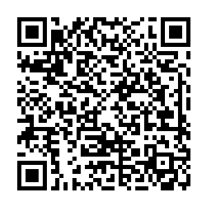 视线落到在一旁为她整理资料的灵虚身上……他真的只是一个智能机器管家吗二维码生成