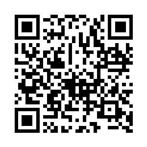 视线追逐着从宏王府门经过的辇舆二维码生成