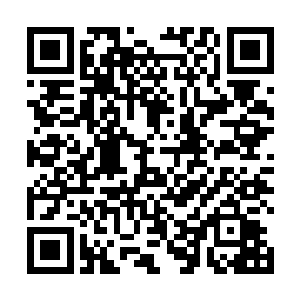 视线重新投回了那不断碾压粉碎着虚幻权柄的巨大磨盘二维码生成