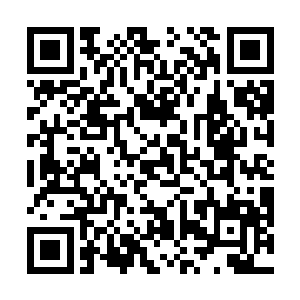 视野清晰地看到许多条登顶之路上都有人正在疾步而上二维码生成