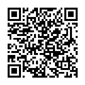 视频中只穿着短衣短裤的的娃娃在清水中加了分量充足的冰块后二维码生成