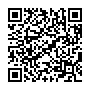 觉哥与其后方的小灵皆是将视线移向了对方的头顶二维码生成