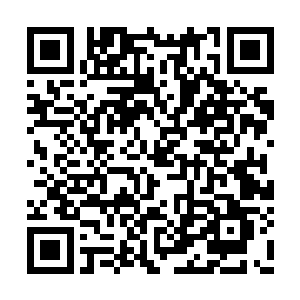 觉哥便已重新来到了通往儿科病房的那条岔路前二维码生成