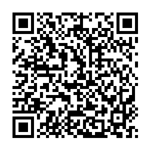 觉得唯一有把握能在这种攻击下活下来的家伙便只有海君和九渊先生二维码生成