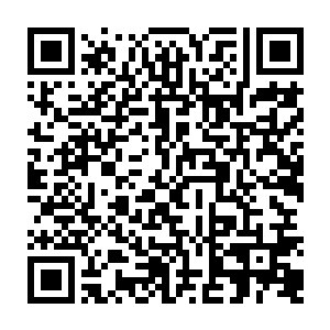 觉得所有人都对不起他背叛了他……典型的将所有过错都推到别人身上的类型二维码生成