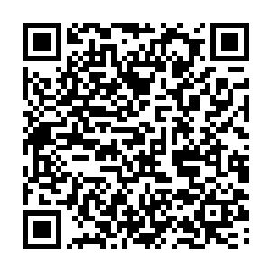 觉得所有人都应该对她好……没想到这种执念到了一种境界也能如此厉害二维码生成