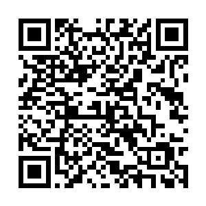 觉得整个世界都应该对他好以他的意志为中心的话二维码生成