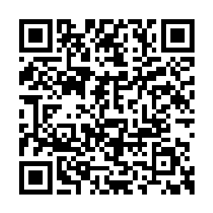 觉得现在突如其来的锦衣玉食的生活很不舒服吧二维码生成