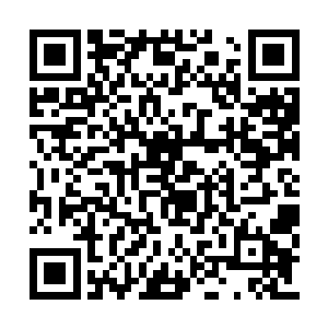 觉得自己是不是应该相信下鬼祖之前发出的誓言二维码生成