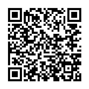 觉得这么大的太阳烤在面具上实在是件特别遭罪的事二维码生成