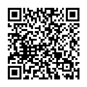 觉得这神树之心跟一个懵懂的婴儿完全没什么区别二维码生成