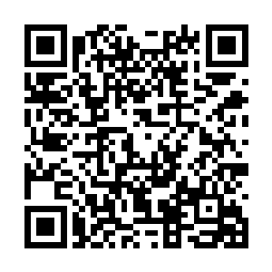 觉得黄埔飞年纪轻轻不懂得打仗就会弄这些幺蛾子二维码生成