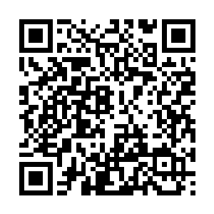 觉着自己随时都会被从蛋身上掀翻出去的关头……二维码生成