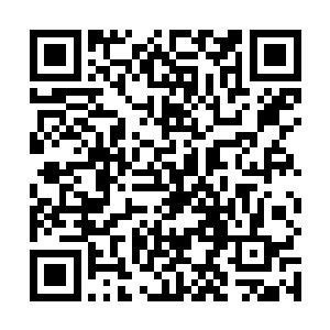 觉醒之后的龙丘佑对无极境的仙家进行了一场杀戮盛宴二维码生成