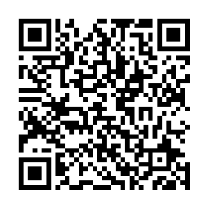觉醒自我意识是拥有精神导蛋的高端机甲必然会经历的过程二维码生成