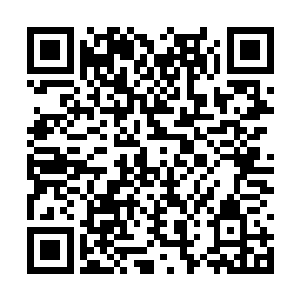 觉非罗饶有深意地看了依旧在闭目打坐的苏澈一眼二维码生成