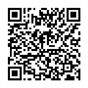 解决五金工具厂这过年职工们的将近半年的工资问题二维码生成