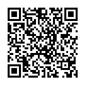 解决掉他分身的一道道丝线已经急骤缩回了对方的掌心内二维码生成