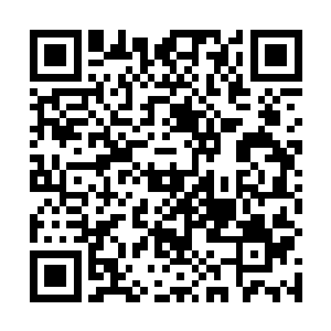 解放军畜牧大学要专门开课教授兽医们如何给军马去势二维码生成