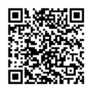 解说台上的长毛已经无法用言语来形容自己的情绪了二维码生成