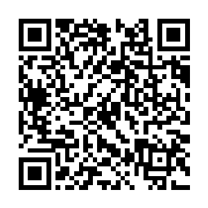 解说员们纷纷开始称赞伊布拉希莫维奇的助攻漂亮二维码生成