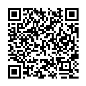 触须的断口处喷涌出大量黑色中夹杂着金色的黏液二维码生成