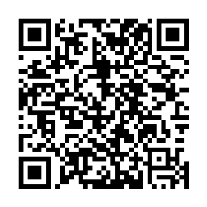 言师兄和海师兄则在附近的一处险峰那建立了个临时的道观二维码生成