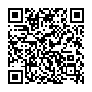 言明昨晚乃是各位官家小公子和富家子弟约好的赌斗二维码生成