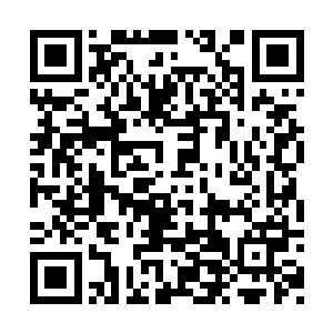 言语间好像说是买回去布置苗毅新上任府邸用的二维码生成