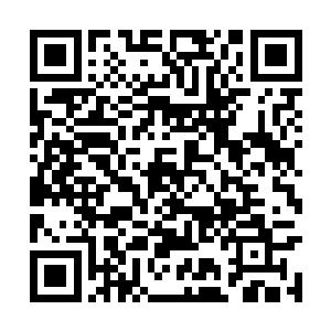 詹姆斯疑惑的看着好像看到母猪上树了一样的科比二维码生成