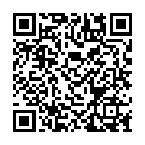 誉郡王以虽非明确但实际储君的身份留在了帝都二维码生成
