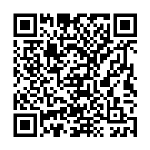 警报……警报……发现红色通辑令通辑的要犯东方撒旦二维码生成