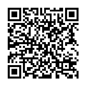 譬如某位大臣这千年内新纳的妾室没看过御田是什么样二维码生成