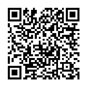 譬如说是苏家竭尽全力派遣空中异能队伍入侵睾星大厦二维码生成