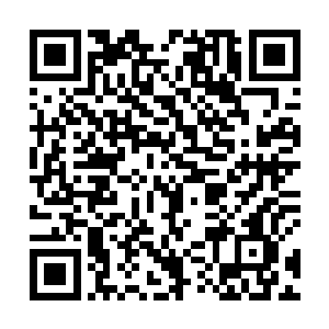 譬如说苏杭一地的盐商纪家……密侦司一开始没有在意二维码生成