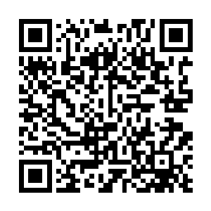 譬如说铁锤那样的就做不了巴克和鬣狗这样灵巧性的动作二维码生成