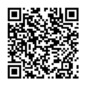 譬如这一次他回京后其它人都看过了才最后一个来看她二维码生成