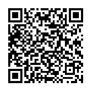 计数牌上的第八位的数字像水表一样的飞速的转动着二维码生成