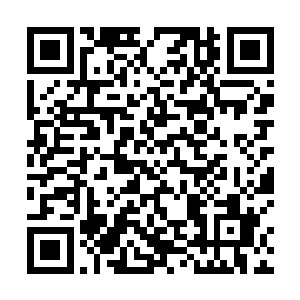 计算将他们当成踏脚石之后腾转挪移和屁滚尿流的路线二维码生成