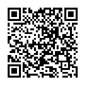 认为她的病情是可以治的……我需要您和刘叔叔的许可二维码生成