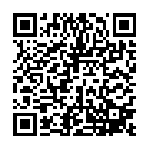 认为如果我们国家自身不能完全解决核岛技术问题之前二维码生成