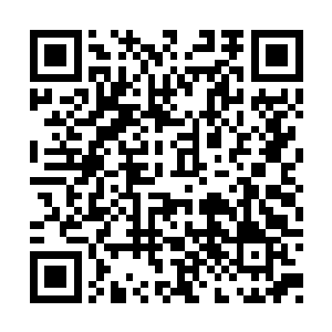 认为应泽天肯定有足够的资格能够在内聘中胜利二维码生成